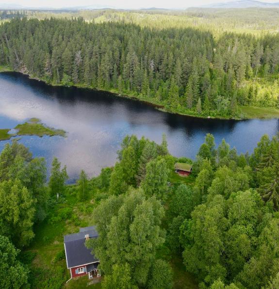 Östra Vintersjön - Boka en stuga med sjöläge mitt i den värmländska vildmarken
vid kanotleden Svartälven, vedeldad bastu! 5 bäddar, kanot och båt